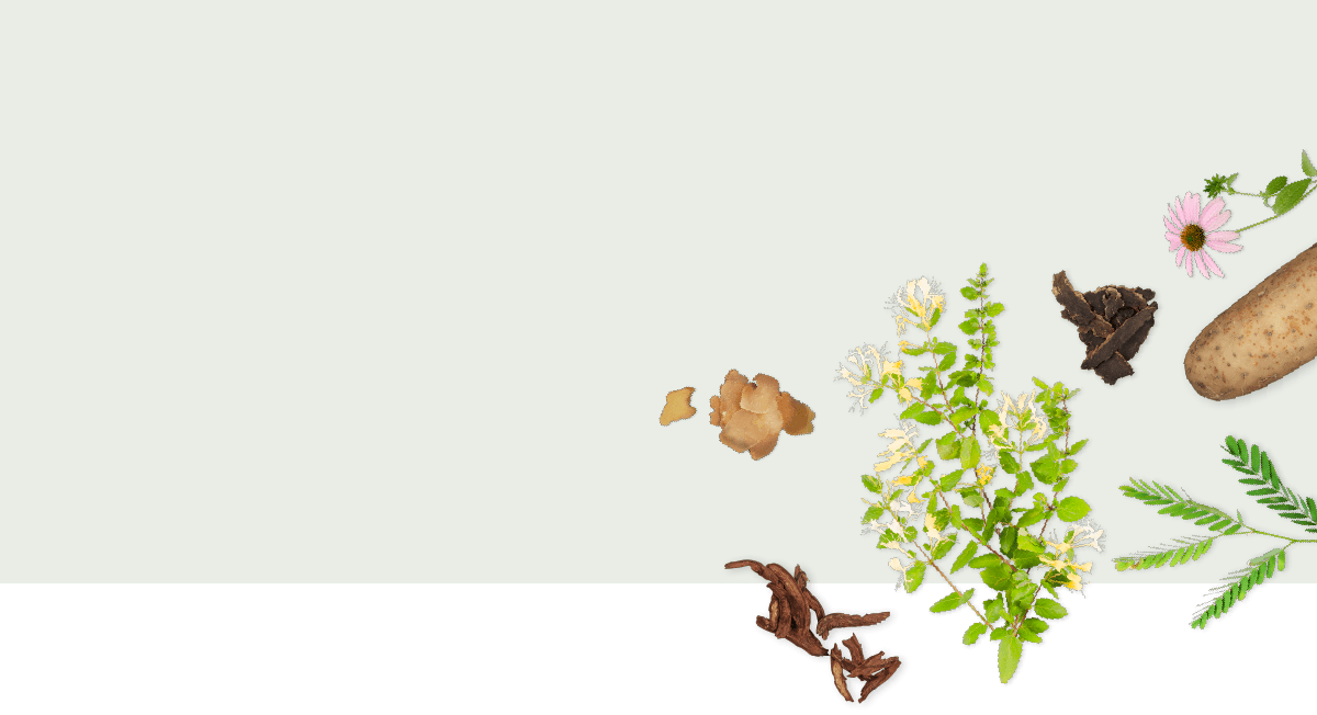 植物的力量 主背景