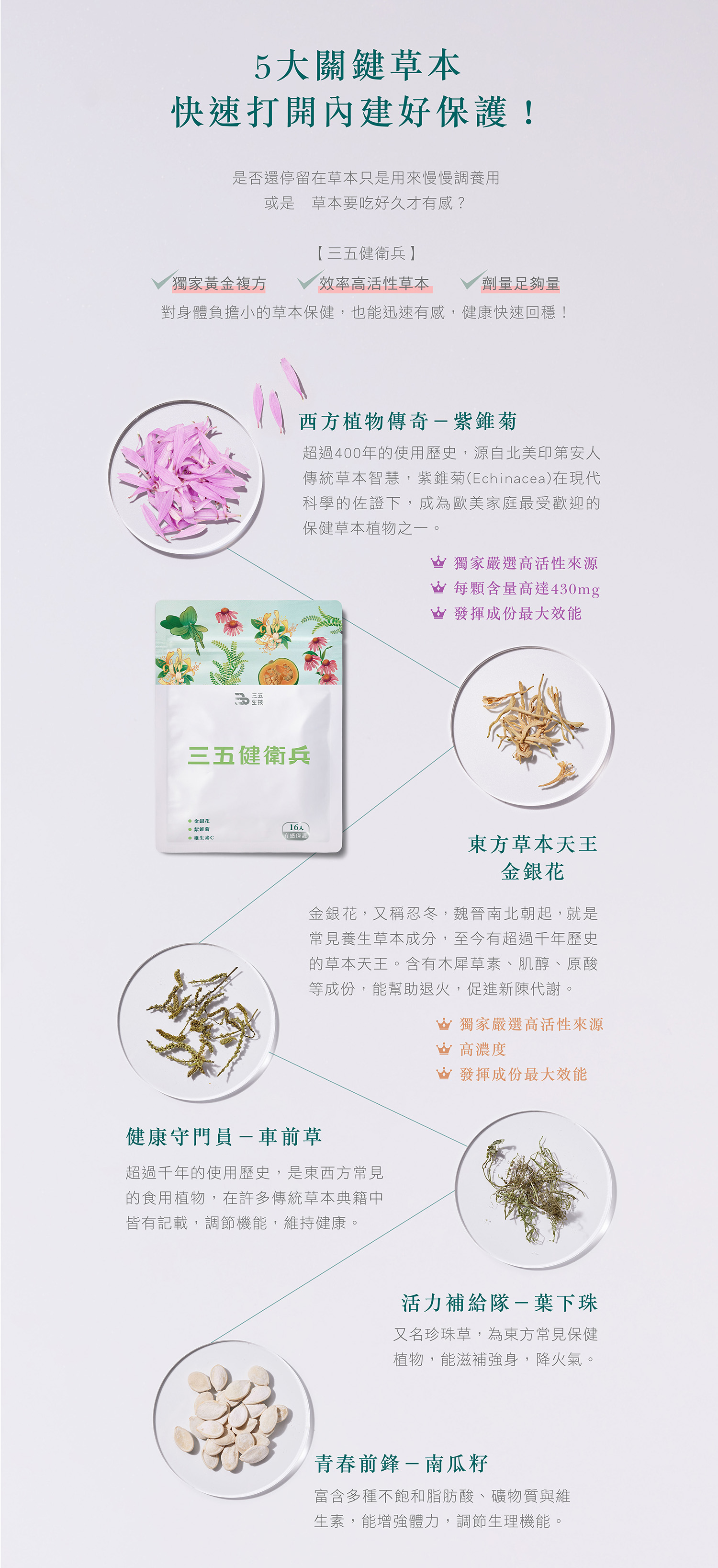 文字摘要
