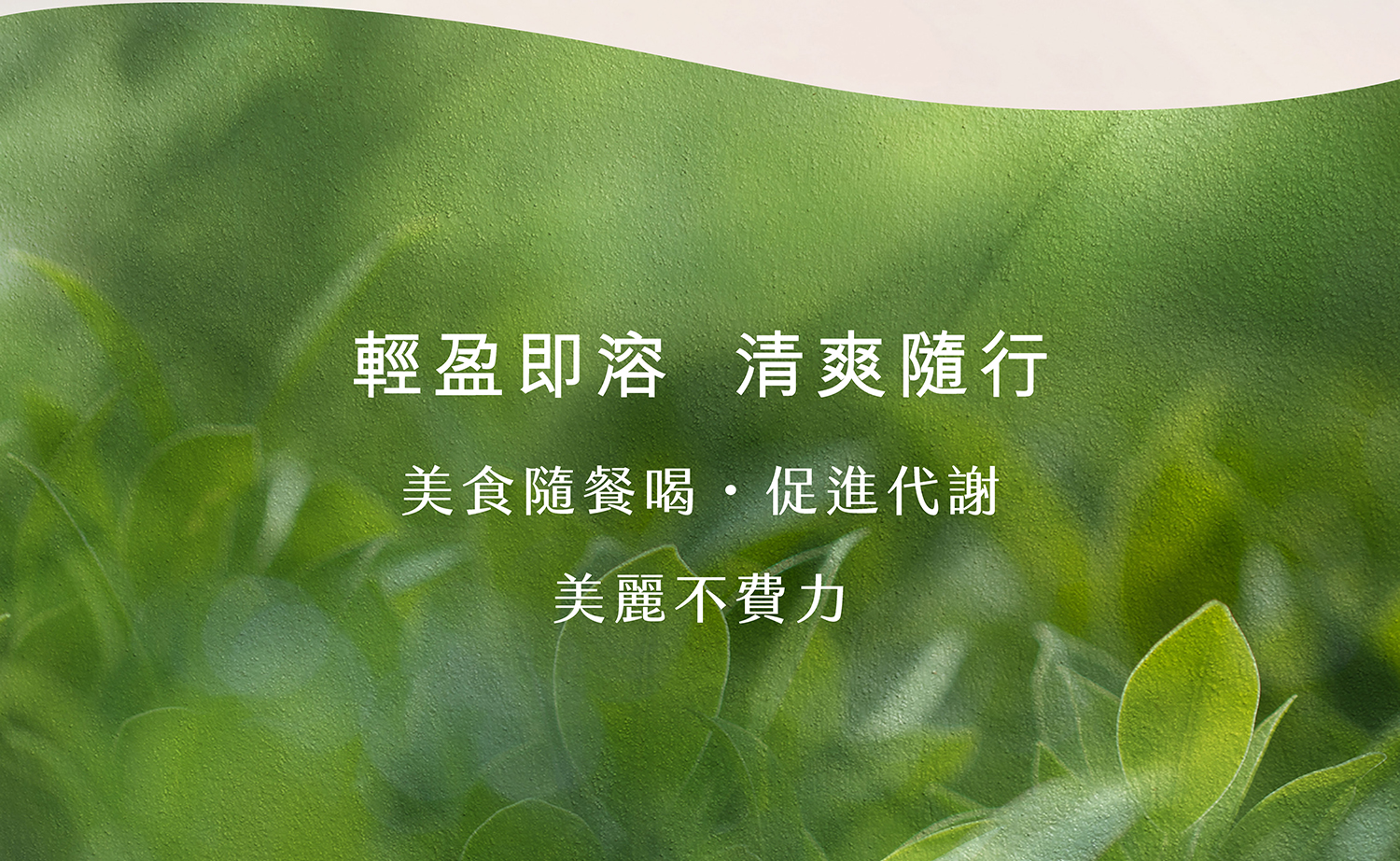 文字摘要